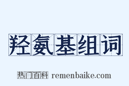 羟氨基组词是什么意思的图片